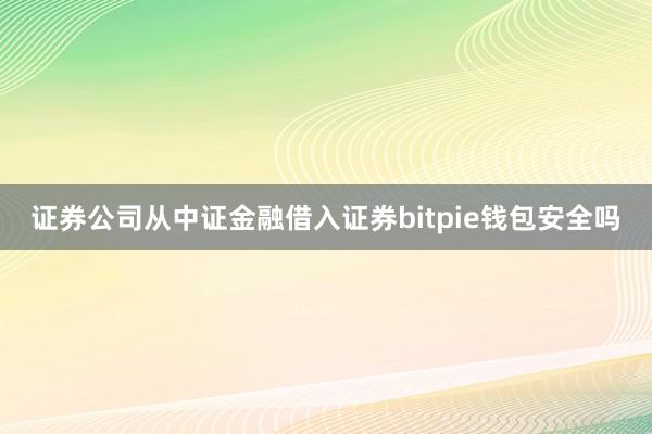 证券公司从中证金融借入证券bitpie钱包安全吗