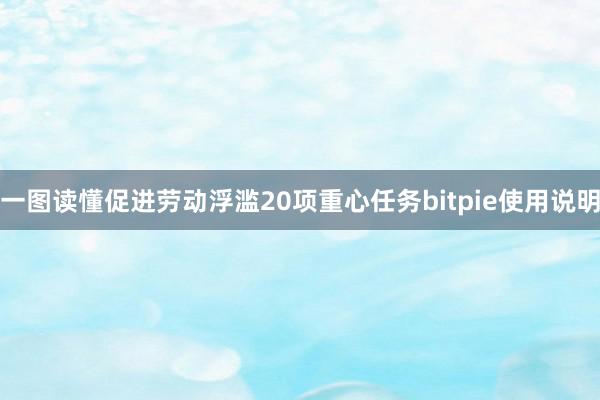 一图读懂促进劳动浮滥20项重心任务bitpie使用说明