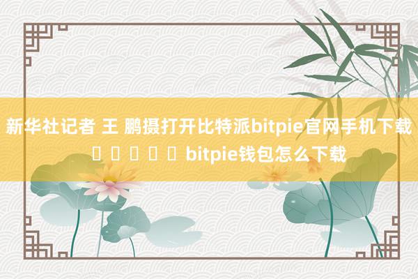 新华社记者 王 鹏摄打开比特派bitpie官网手机下载    					bitpie钱包怎么下载