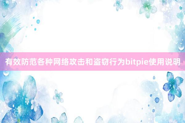 有效防范各种网络攻击和盗窃行为bitpie使用说明