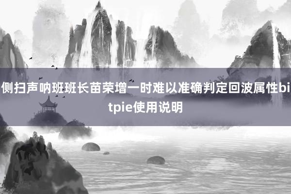 侧扫声呐班班长苗荣增一时难以准确判定回波属性bitpie使用说明