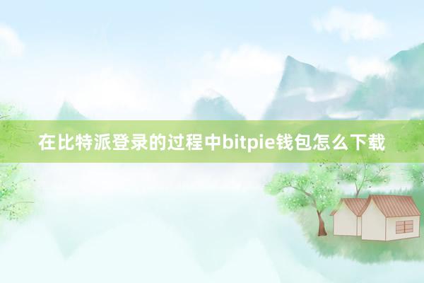 在比特派登录的过程中bitpie钱包怎么下载