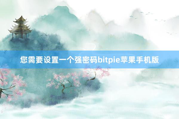 您需要设置一个强密码bitpie苹果手机版