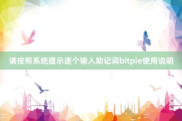 请按照系统提示逐个输入助记词bitpie使用说明