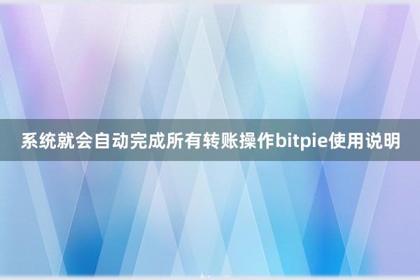 系统就会自动完成所有转账操作bitpie使用说明