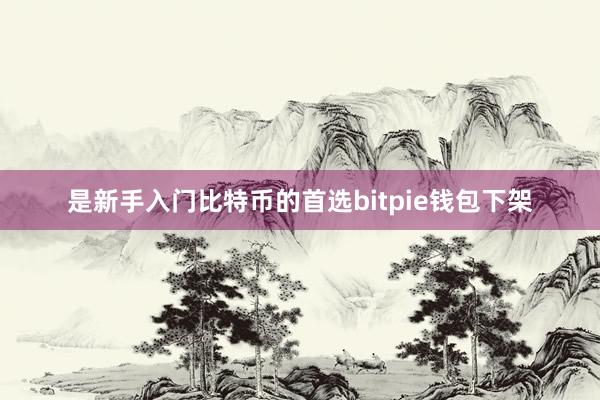 是新手入门比特币的首选bitpie钱包下架