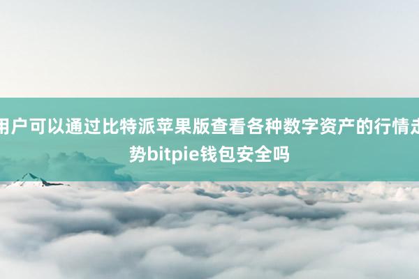 用户可以通过比特派苹果版查看各种数字资产的行情走势bitpie钱包安全吗