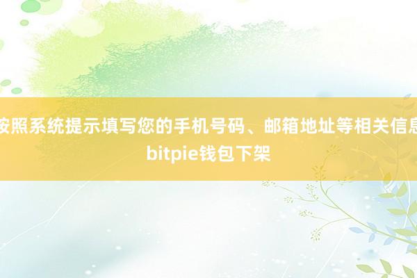 按照系统提示填写您的手机号码、邮箱地址等相关信息bitpie钱包下架