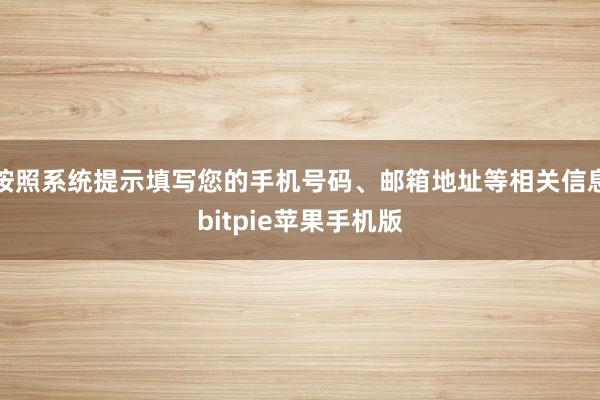 按照系统提示填写您的手机号码、邮箱地址等相关信息bitpie苹果手机版