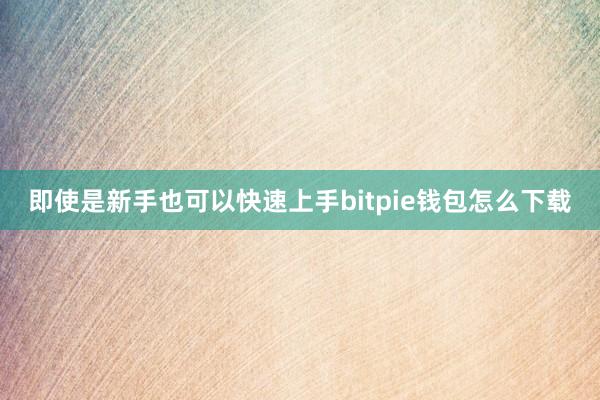 即使是新手也可以快速上手bitpie钱包怎么下载