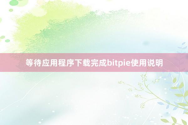 等待应用程序下载完成bitpie使用说明