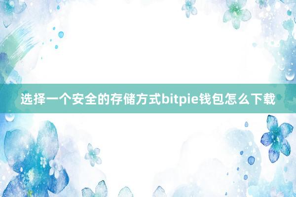 选择一个安全的存储方式bitpie钱包怎么下载