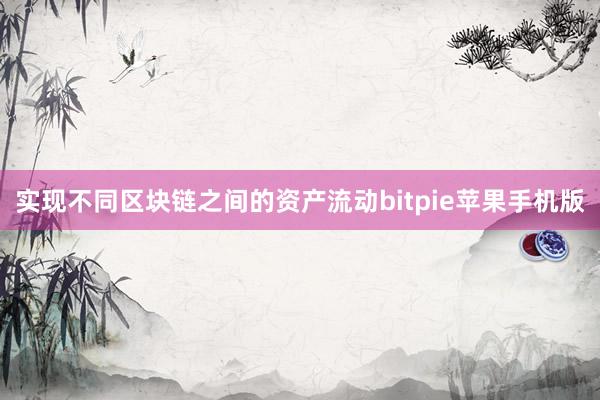 实现不同区块链之间的资产流动bitpie苹果手机版