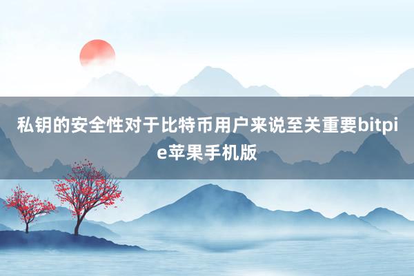 私钥的安全性对于比特币用户来说至关重要bitpie苹果手机版