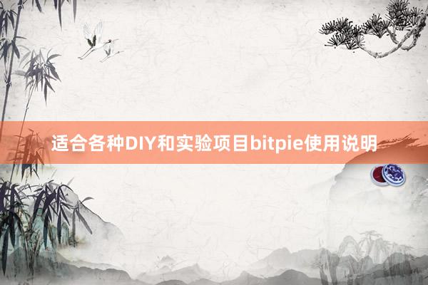 适合各种DIY和实验项目bitpie使用说明