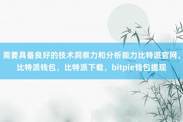 需要具备良好的技术洞察力和分析能力比特派官网，比特派钱包，比特派下载，bitpie钱包提现