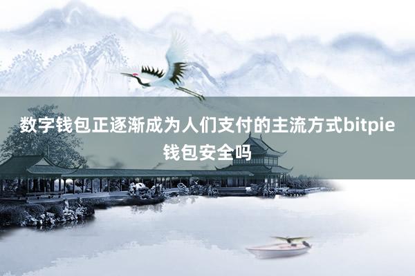 数字钱包正逐渐成为人们支付的主流方式bitpie钱包安全吗