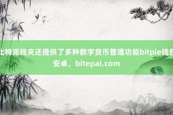 比特派钱夹还提供了多种数字货币管理功能bitpie钱包安卓，bitepai.com