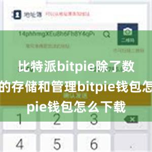 比特派bitpie除了数字货币的存储和管理bitpie钱包怎么下载