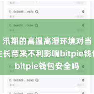 汛期的高温高湿环境对当前玉米生长带来不利影响bitpie钱包安全吗