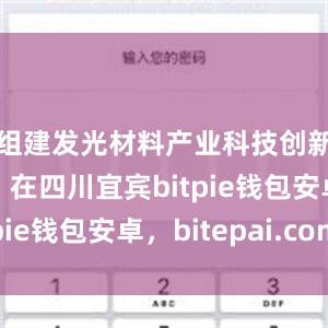 组建发光材料产业科技创新联合体；在四川宜宾bitpie钱包安卓，bitepai.com