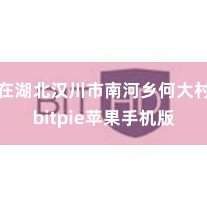 在湖北汉川市南河乡何大村bitpie苹果手机版