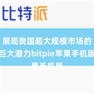 展现我国超大规模市场的巨大潜力bitpie苹果手机版