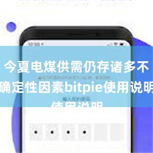 今夏电煤供需仍存诸多不确定性因素bitpie使用说明