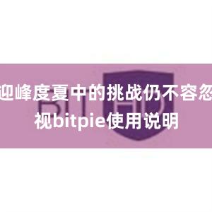 迎峰度夏中的挑战仍不容忽视bitpie使用说明