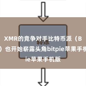 XMR的竞争对手比特币派（BTC）也开始崭露头角bitpie苹果手机版