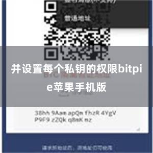 并设置每个私钥的权限bitpie苹果手机版