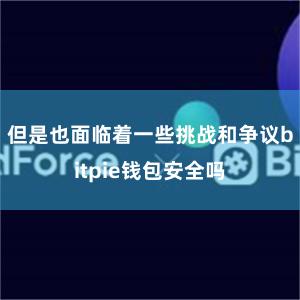 但是也面临着一些挑战和争议bitpie钱包安全吗