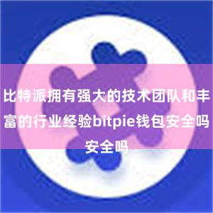 比特派拥有强大的技术团队和丰富的行业经验bitpie钱包安全吗